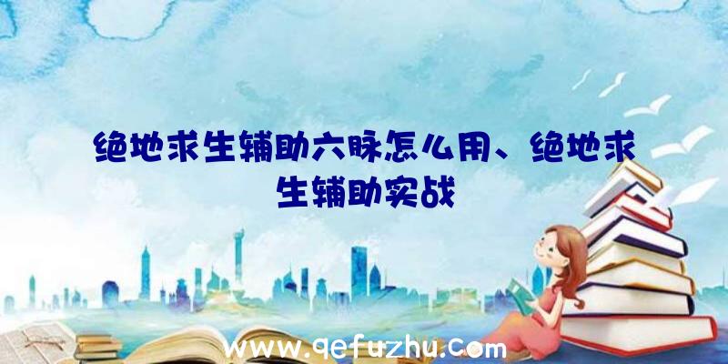 绝地求生辅助六脉怎么用、绝地求生辅助实战