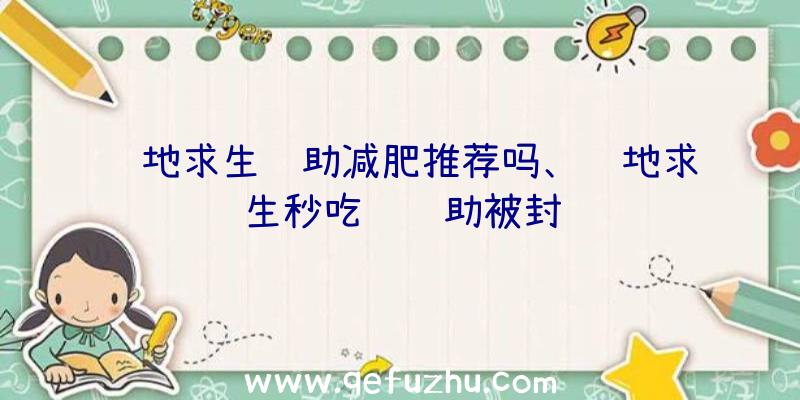 绝地求生辅助减肥推荐吗、绝地求生秒吃药辅助被封