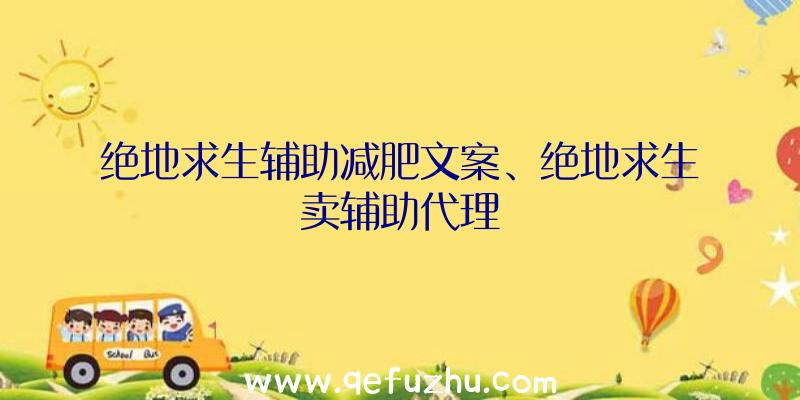 绝地求生辅助减肥文案、绝地求生卖辅助代理