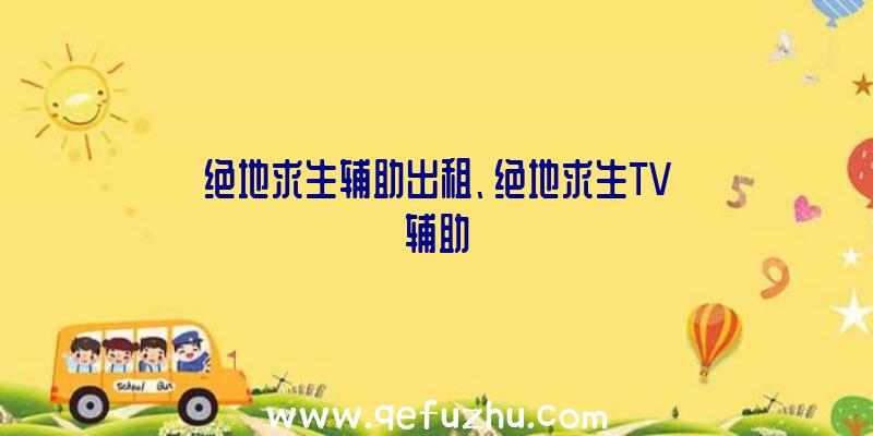 绝地求生辅助出租、绝地求生TV辅助