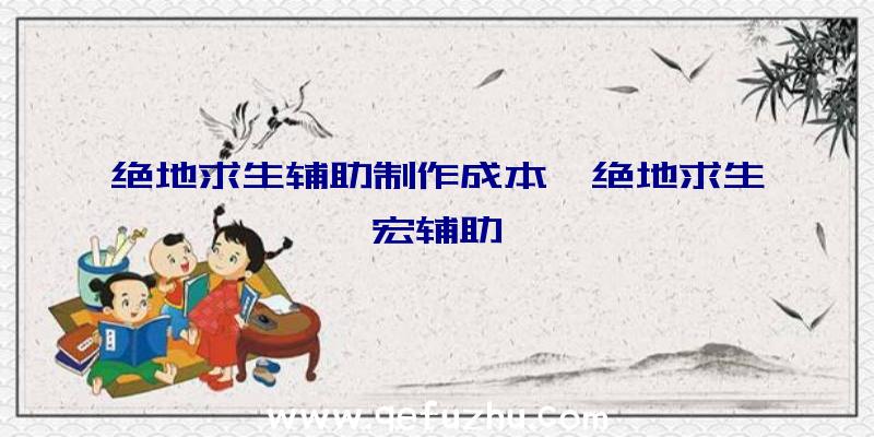 绝地求生辅助制作成本、绝地求生宏辅助