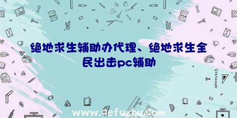 绝地求生辅助办代理、绝地求生全民出击pc辅助