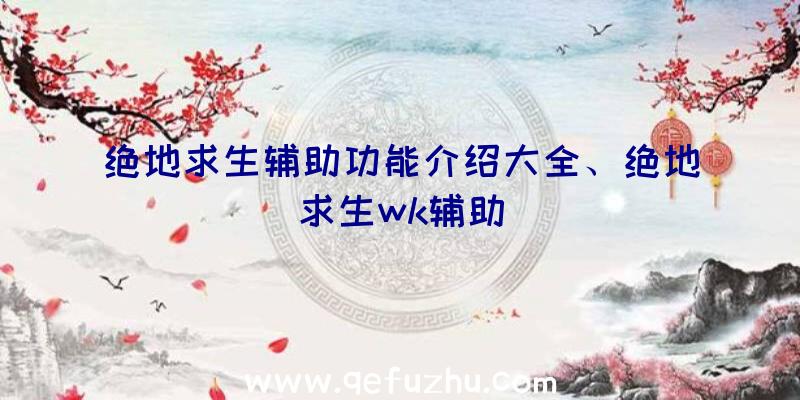 绝地求生辅助功能介绍大全、绝地求生wk辅助