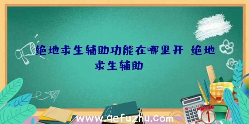 绝地求生辅助功能在哪里开、绝地求生辅助dzm