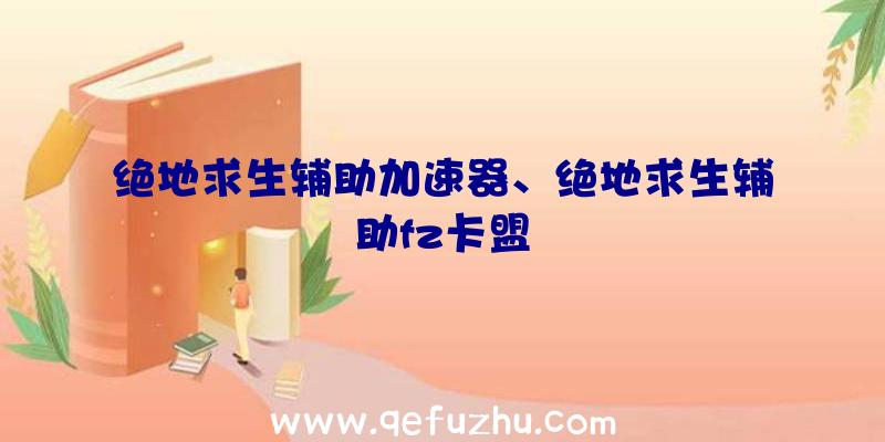 绝地求生辅助加速器、绝地求生辅助fz卡盟