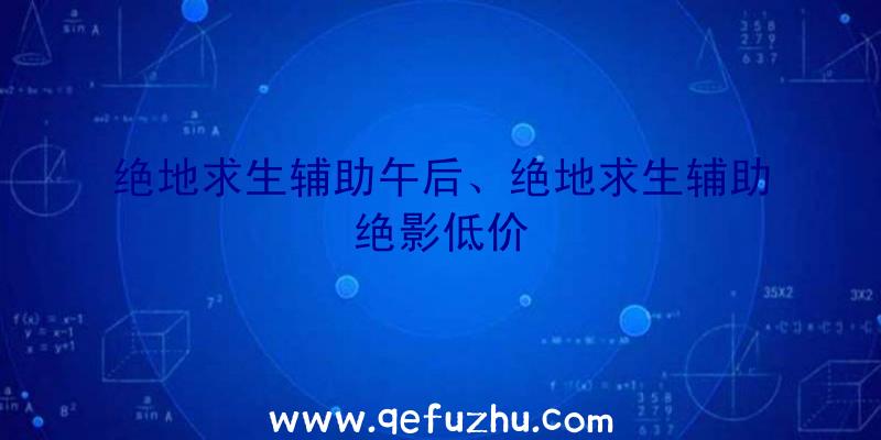 绝地求生辅助午后、绝地求生辅助绝影低价