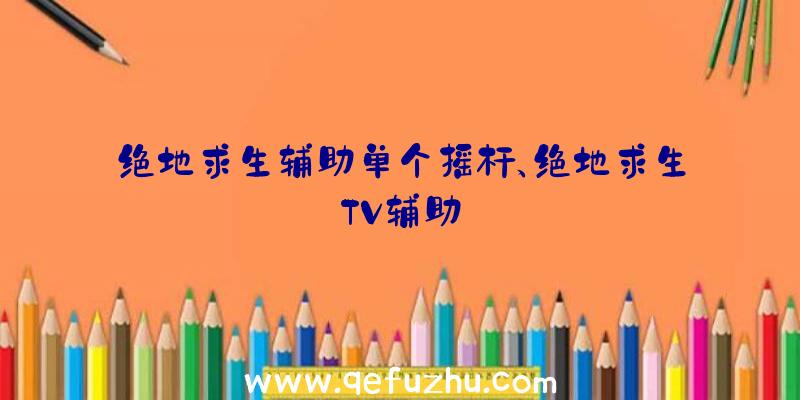 绝地求生辅助单个摇杆、绝地求生TV辅助