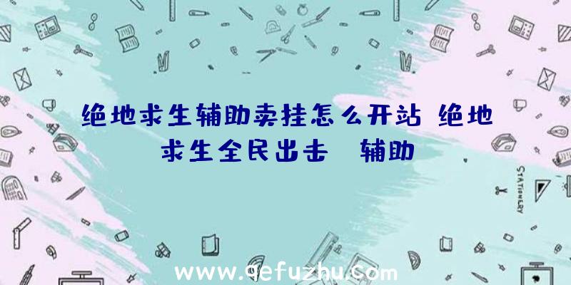 绝地求生辅助卖挂怎么开站、绝地求生全民出击pc辅助