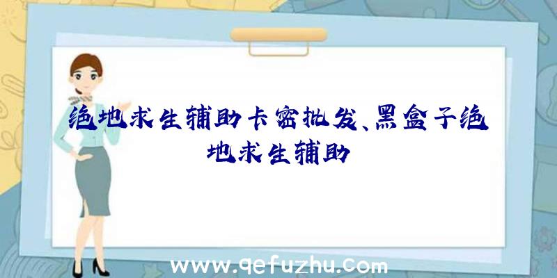 绝地求生辅助卡密批发、黑盒子绝地求生辅助