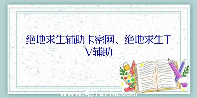 绝地求生辅助卡密网、绝地求生TV辅助