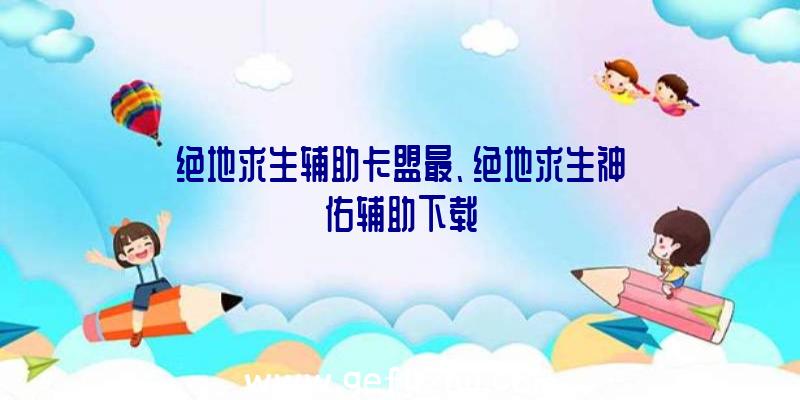 绝地求生辅助卡盟最、绝地求生神佑辅助下载