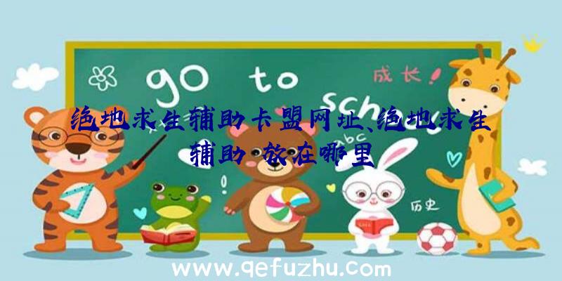 绝地求生辅助卡盟网址、绝地求生辅助