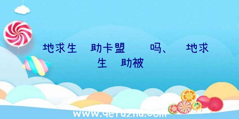 绝地求生辅助卡盟赚钱吗、绝地求生辅助被骗