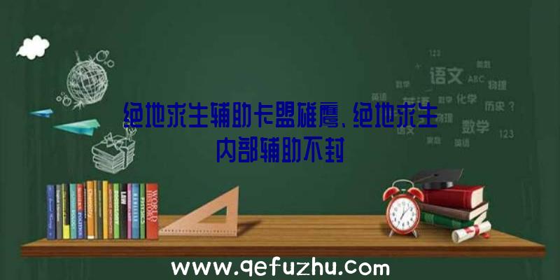 绝地求生辅助卡盟雄鹰、绝地求生内部辅助不封