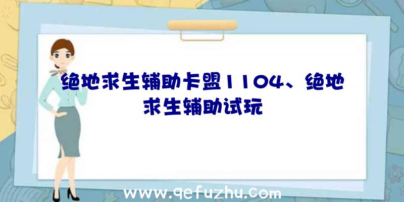 绝地求生辅助卡盟1104、绝地求生辅助试玩