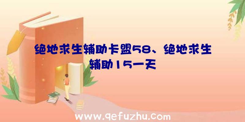 绝地求生辅助卡盟58、绝地求生辅助15一天