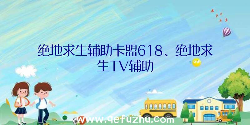 绝地求生辅助卡盟618、绝地求生TV辅助