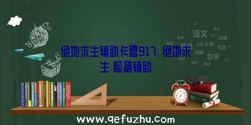 绝地求生辅助卡盟917、绝地求生