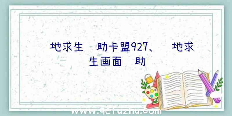 绝地求生辅助卡盟927、绝地求生画面辅助