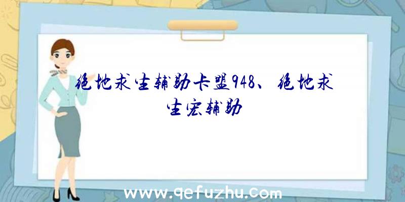 绝地求生辅助卡盟948、绝地求生宏辅助