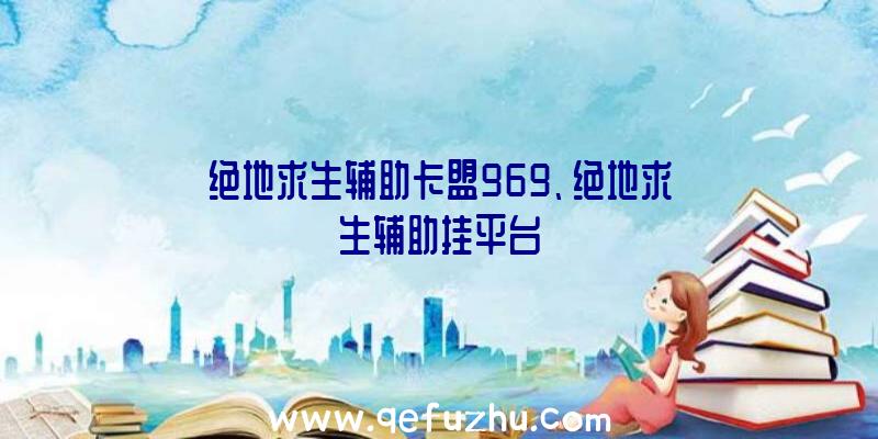 绝地求生辅助卡盟969、绝地求生辅助挂平台