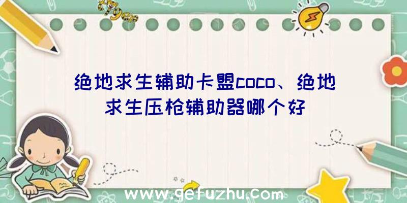 绝地求生辅助卡盟coco、绝地求生压枪辅助器哪个好