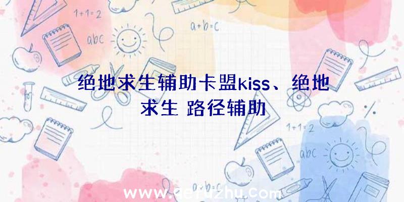 绝地求生辅助卡盟kiss、绝地求生