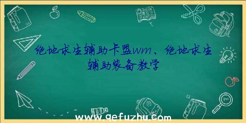 绝地求生辅助卡盟wm、绝地求生辅助装备教学