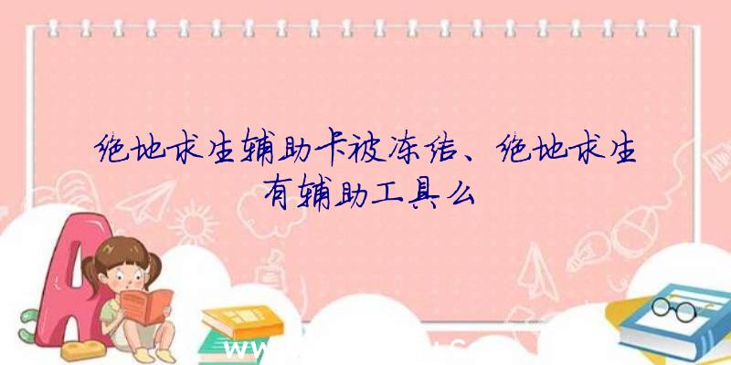 绝地求生辅助卡被冻结、绝地求生有辅助工具么