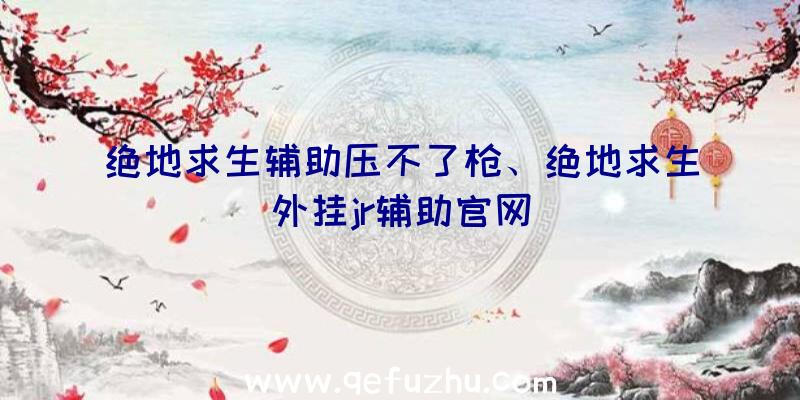 绝地求生辅助压不了枪、绝地求生外挂jr辅助官网