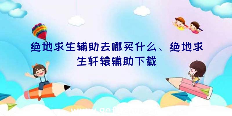 绝地求生辅助去哪买什么、绝地求生轩辕辅助下载