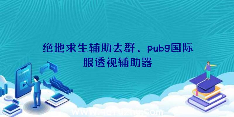 绝地求生辅助去群、pubg国际服透视辅助器