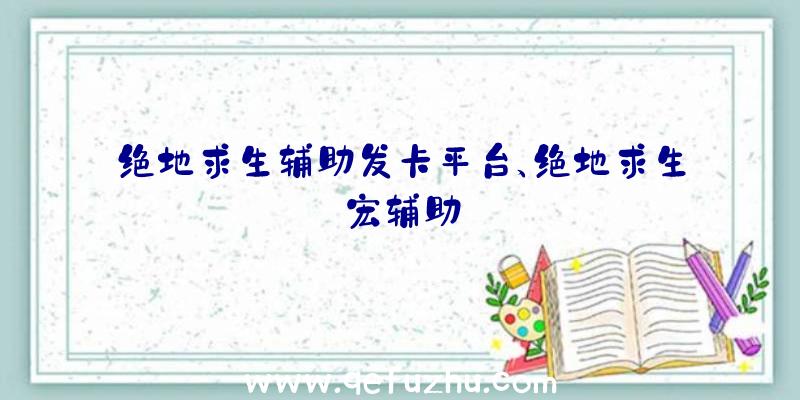 绝地求生辅助发卡平台、绝地求生宏辅助