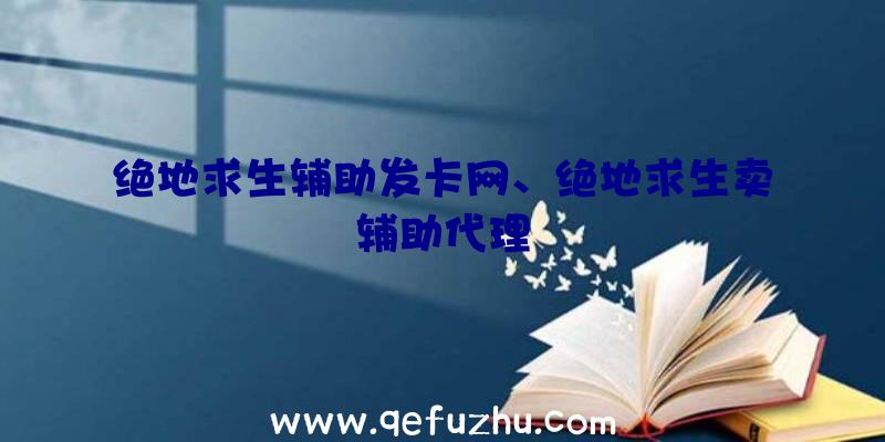 绝地求生辅助发卡网、绝地求生卖辅助代理