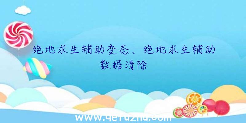 绝地求生辅助变态、绝地求生辅助数据清除