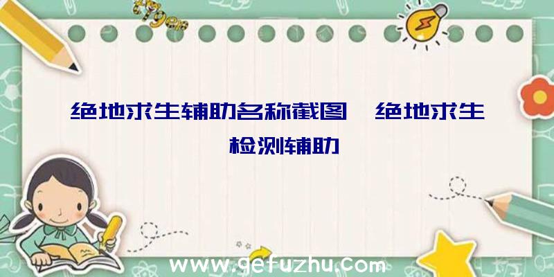 绝地求生辅助名称截图、绝地求生