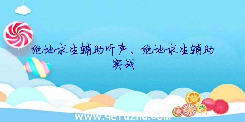 绝地求生辅助听声、绝地求生辅助实战