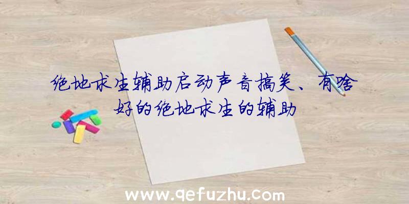 绝地求生辅助启动声音搞笑、有啥好的绝地求生的辅助