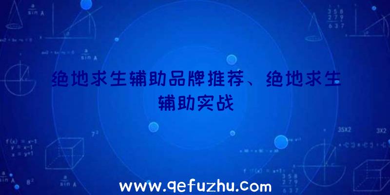 绝地求生辅助品牌推荐、绝地求生辅助实战