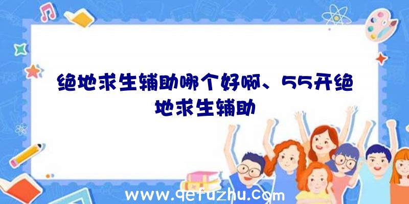 绝地求生辅助哪个好啊、55开绝地求生辅助