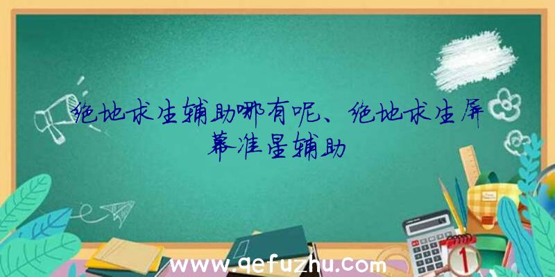 绝地求生辅助哪有呢、绝地求生屏幕准星辅助