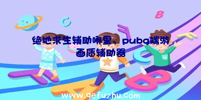 绝地求生辅助哪里、pubg端游画质辅助器