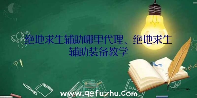 绝地求生辅助哪里代理、绝地求生辅助装备教学