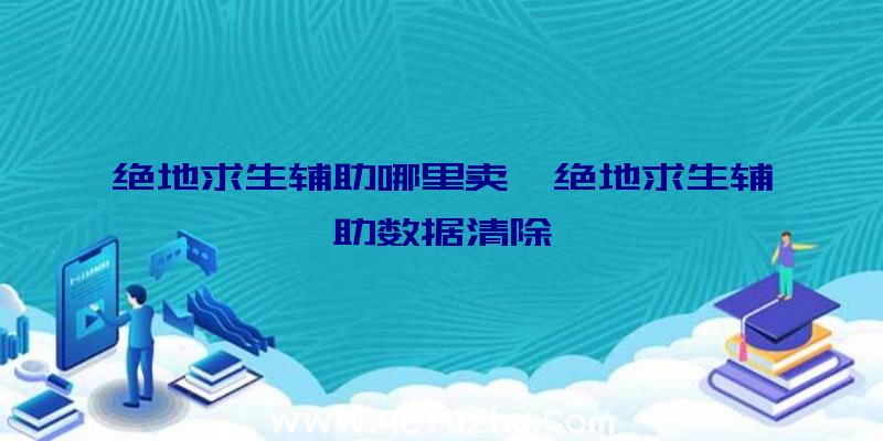 绝地求生辅助哪里卖、绝地求生辅助数据清除