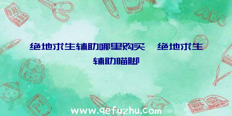 绝地求生辅助哪里购买、绝地求生辅助瞄脚