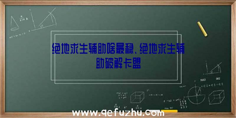 绝地求生辅助啥最稳、绝地求生辅助破解卡盟