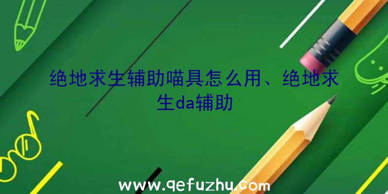 绝地求生辅助喵具怎么用、绝地求生da辅助