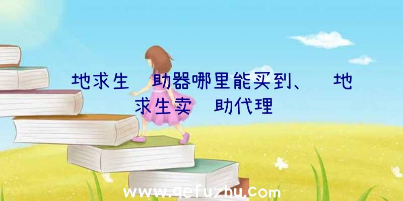 绝地求生辅助器哪里能买到、绝地求生卖辅助代理