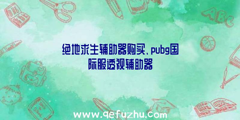 绝地求生辅助器购买、pubg国际服透视辅助器