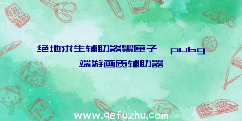 绝地求生辅助器黑匣子、pubg端游画质辅助器